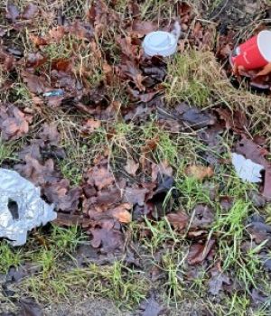 Kommunalisering af det grønne område i Gribskov